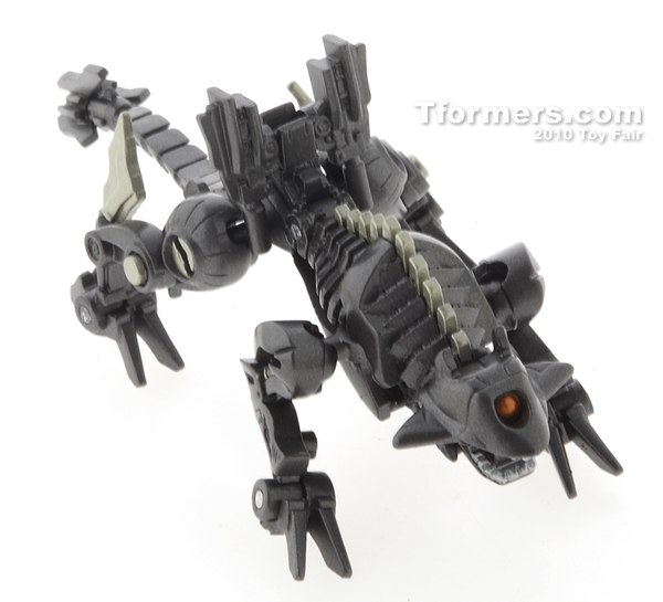 Legends Ravage (62 of 82)